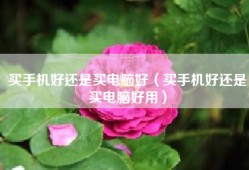 买手机好还是买电脑好（买手机好还是买电脑好用）