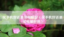 买手机好还是买电脑好（买手机好还是买电脑好用）