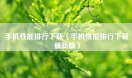 手机性能排行下载（手机性能排行下载最新版）