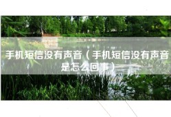 手机短信没有声音（手机短信没有声音是怎么回事）