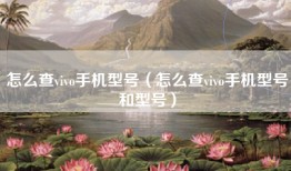 怎么查vivo手机型号（怎么查vivo手机型号和型号）