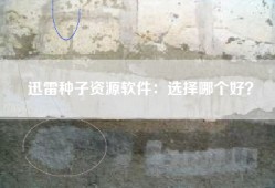 迅雷种子资源软件：选择哪个好？