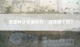 迅雷种子资源软件：选择哪个好？