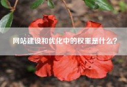 网站建设和优化中的权重是什么？