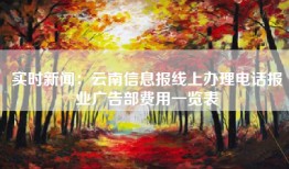 实时新闻：云南信息报线上办理电话报业广告部费用一览表