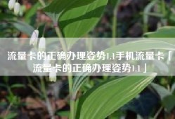 流量卡的正确办理姿势1.1手机流量卡「流量卡的正确办理姿势1.1」