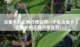 流量卡的正确办理姿势1.1手机流量卡「流量卡的正确办理姿势1.1」