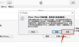 iPhone上出现了连接iTunes图标怎么办？苹果手机强制关机「iPhone上出现了连接iTunes图标怎么办？」
