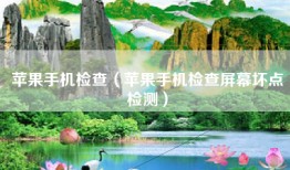 苹果手机检查（苹果手机检查屏幕坏点检测）