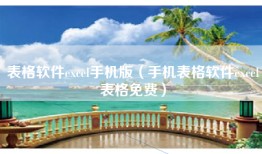 表格软件excel手机版（手机表格软件excel表格免费）