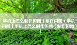 手机上怎么制作闪图（制作闪图）手机闪图「手机上怎么制作闪图（制作闪图）」