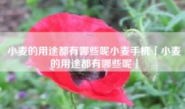 小麦的用途都有哪些呢小麦手机「小麦的用途都有哪些呢」