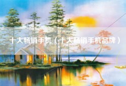 十大畅销手机（十大畅销手机品牌）