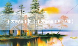 十大畅销手机（十大畅销手机品牌）