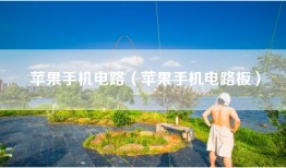 苹果手机电路（苹果手机电路板）