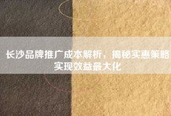 长沙品牌推广成本解析，揭秘实惠策略实现效益最大化