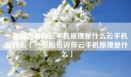 一张图告诉你云手机原理是什么云手机是什么「一张图告诉你云手机原理是什么」