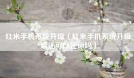 红米手机系统升级（红米手机系统升级后还可以还原吗）