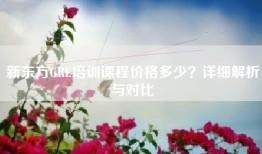 新东方GRE培训课程价格多少？详细解析与对比