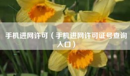 手机进网许可（手机进网许可证号查询入口）