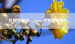 外贸大佬谈wordpress外贸建站推广
