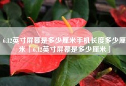 6.12英寸屏幕是多少厘米手机长度多少厘米「6.12英寸屏幕是多少厘米」
