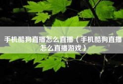 手机酷狗直播怎么直播（手机酷狗直播怎么直播游戏）