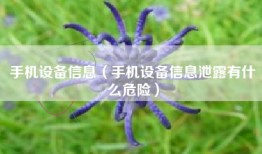 手机设备信息（手机设备信息泄露有什么危险）