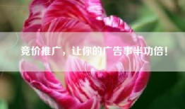竞价推广，让你的广告事半功倍！