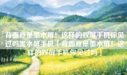 背面竟是墨水屏！这样的双屏手机你见过吗墨水屏手机「背面竟是墨水屏！这样的双屏手机你见过吗」