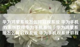 华为鸿蒙系统怎么开启双系统 华为手机双系统教程华为手机系统「华为鸿蒙系统怎么开启双系统 华为手机双系统教程」