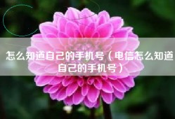 怎么知道自己的手机号（电信怎么知道自己的手机号）
