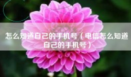 怎么知道自己的手机号（电信怎么知道自己的手机号）