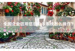 全国企业信用信息公示系统怎么操作？