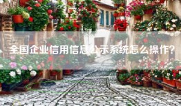 全国企业信用信息公示系统怎么操作？
