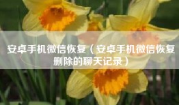 安卓手机微信恢复（安卓手机微信恢复删除的聊天记录）