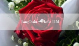 LangChain 一 hello LLM
