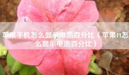 苹果手机怎么显示电池百分比（苹果11怎么显示电池百分比）