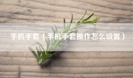 手机手套（手机手套操作怎么设置）