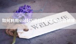 如何利用SEO技巧进行高效的网络营销推广