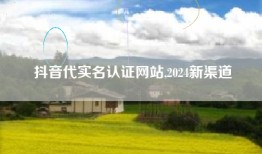 抖音代实名认证网站,2024新渠道
