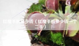 红魔手机多少钱（红魔手机多少钱一个二手）