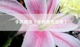 手机研发（手机研发流程）