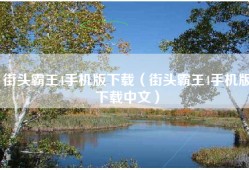 街头霸王4手机版下载（街头霸王4手机版下载中文）