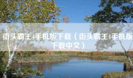 街头霸王4手机版下载（街头霸王4手机版下载中文）