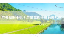 屏幕宽的手机（屏幕宽的手机有哪几款）