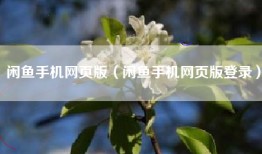 闲鱼手机网页版（闲鱼手机网页版登录）