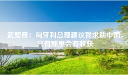 武契奇：匈牙利总理建议我求助中国，只有那里会有收获