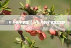 手机拍摄神器（手机拍摄神器隐藏）