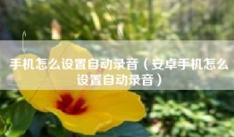 手机怎么设置自动录音（安卓手机怎么设置自动录音）